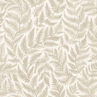 Ferns - 7789