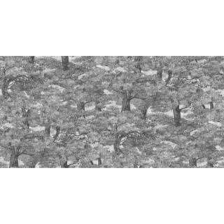 Samburu Tree  - 9573W