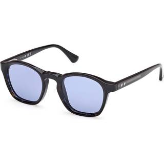 Web Mand WE0384 56V Solbriller Acetat Havana Blå Rund Normal
