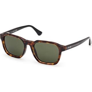 Web Mand WE0385 55N Solbriller Acetat Havana Grøn Firkantet Normal
