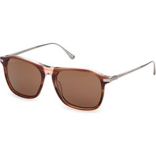 Web Unisex WE0386 56E Solbriller Acetat Havana Brun Firkantet Normal