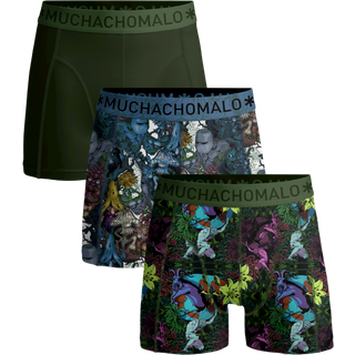 Jongens 3-pack Boxershorts Earth Elements