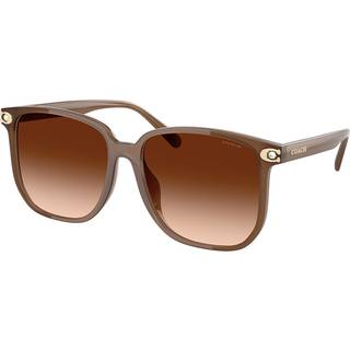 Coach HC8413BD CW419 Asian Fit 580874 58 Solbriller Kvinder Brun - Pearl Brown - 58mm