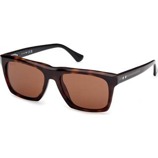 Web Mand WE0350 55E Solbriller Acetat Havana Brun Firkantet Normal