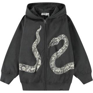 Molo Mazzo Hoodie Unexplored 122 cm  Grå  122 cm  mand