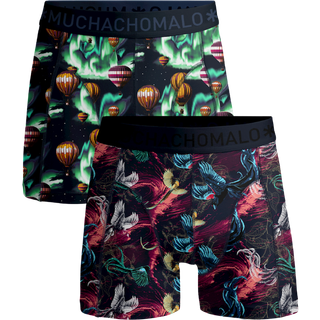 Jongens 2-pack Boxershorts Air Elements