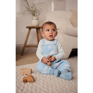 Next Blue Crocodile Jersey Baby Dungarees And Bodysuit Set (0mths-2yrs)