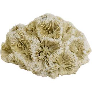 Akvariedekoration CORAL