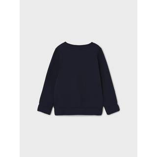 Regular Fit Sweatshirt