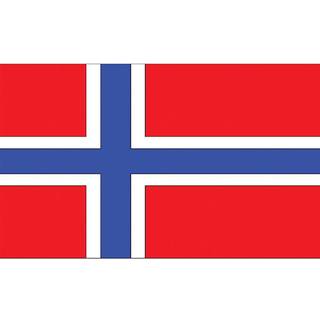 Flag Norge 90x150 cm