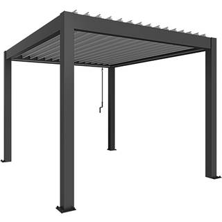 Biohort, Pergola størrelse 3 x 3,5 metallic mørkegrå- sølv