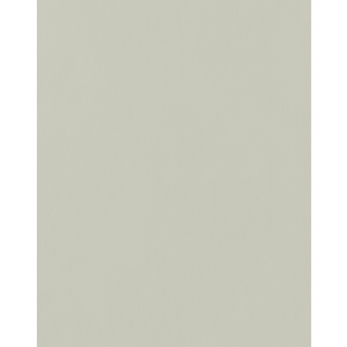 Green Canvas - Matt Paint  - Farveprøve 10 x 14 cm Green Canvas | 1 stk. farveprøve