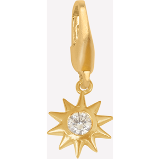 ByBiehl Star Charm charm i guldfarvet metal med cubic zirkonia