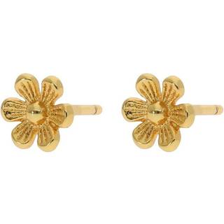 Vanessa Øreringe, Gold Plated