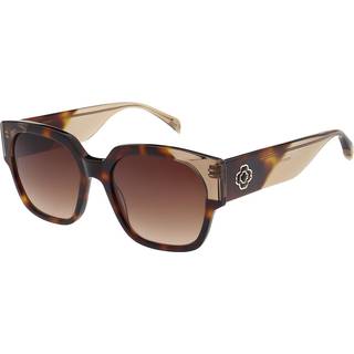 Maje MJ5047 104 55 Solbriller Kvinder Tortoiseshell - Dark Tortoise - 55mm