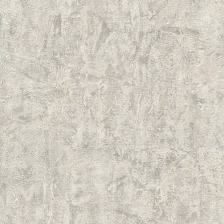 Albany Wallpaper Piero Texture 811302