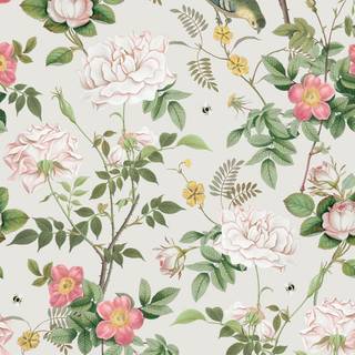Royal Horticultural Society Wallpaper Birdsong and Blooms 100297OL