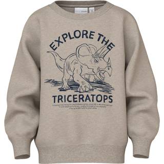 Name It Pure Cashmere Triceratops Sweatshirt