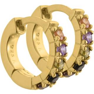 Vigga - 10,7 mm. creoler i forgyldt sterling sølv med lilla, røg, sorte, champagne & oliven zirko