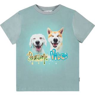 Molo Rame Short Sleeve T-Shirt Pawsome Vibes 128 cm  Blå  128 cm  mand