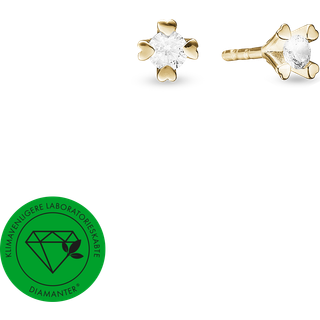 Mary Diamantøreringe i 8 kt guld med lab-grown brillanter på 2x0,10ct