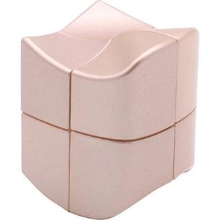 YJ YuanFang 2x2 Silver - Professorterning