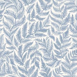 Ferns - 7790