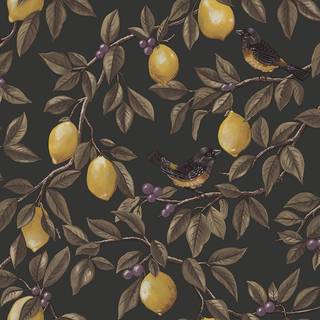 Albany Wallpaper Ponderosa 91892