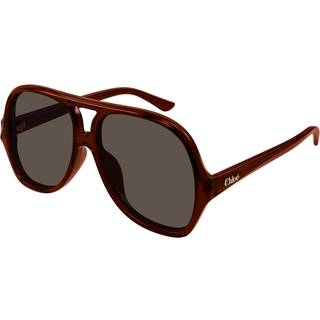 Chloé Kvinde CH0289S 002 Solbriller Acetat Brun Brun Pilot