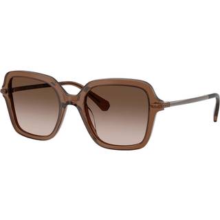 Swarovski Kvinde SK6040 106713 Solbriller Acetat Brun Brun Geometrisk Normal Skygge