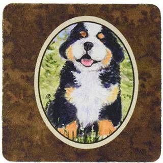 """" Caroline's Treasures SS8750FC Bernese Mountain Dog Foam Coasters (S?t p? 4) 3,5 """" ""H X 3,5"" """" W Multicolor """"