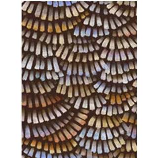 Dandelion Cranes - Prisma