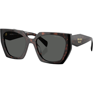 Prada Kvinde PR 15WS 24B40L Solbriller Acetat Havana Grå Firkantet Normal