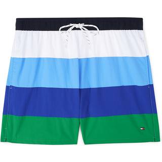 Stripe Mid Length Swim Trunks