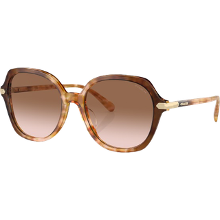 Coach HC8377U CL925 57753C 55 Solbriller Kvinder Tortoiseshell - Shaded Tortoise Snow Caramel - 55mm