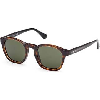 Web Mand WE0384 55N Solbriller Acetat Havana Grøn Rund Normal