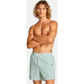 Tommy Hilfiger Herren Badeshorts grün Mikrofaser Gestreift