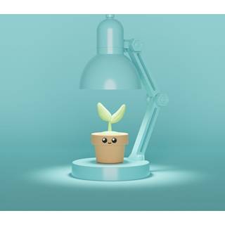 Lampe - Mini Plant Lamp