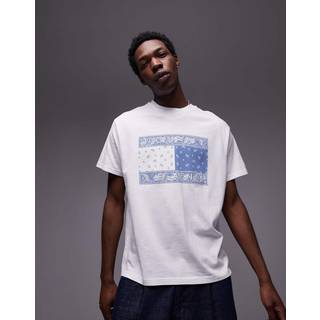 Tommy Jeans Herre Paisley Flag T-Shirt Ecru