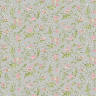 Cole & Son Wallpaper Hummingbirds 124/1003
