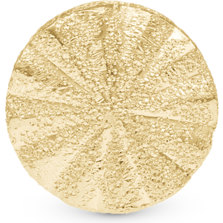 Christina Jewelry Sparkling Sunrays forgyldt charm til 6 mm læderarmbånd