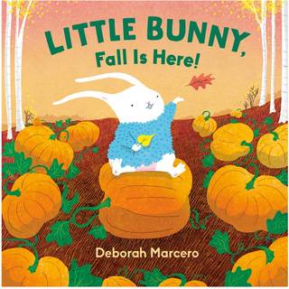 Little Bunny, Fall Is Here!