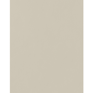 Light Beige - Matt Paint  - Farveprøve 10 x 14 cm Light Beige | 1 stk. farveprøve