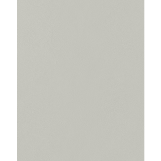 Concrete - Matt Paint - Farveprøve 10 x 14 cm Concrete | 1 stk. farveprøve