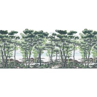 The Enchanted Forest, Daylight