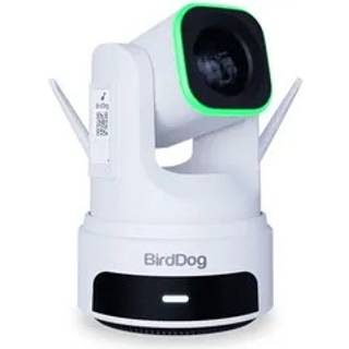 BirdDog X4 Ultra - NDI® | HX3 4K PTZ Camera Hvid