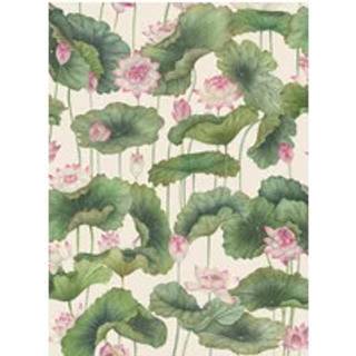 Lily Lotus - Pink & White