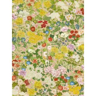 Flora Province - Taupe