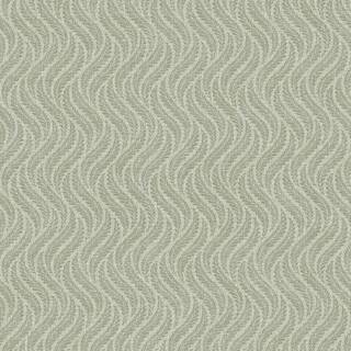 Little Fern - 7772
