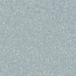 Salix Alba - 7788